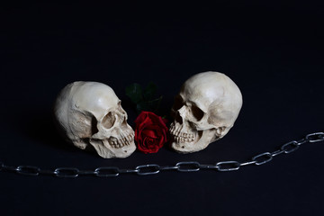 Totenkopf, Paar mit Rose und Kette