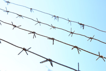 barbed wire against the blue sky