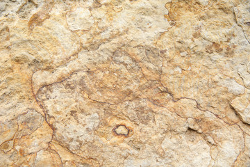 rough natural stone background close up 