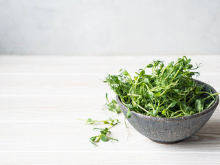 Fresh young green pea sprouts in a bowl on a table. Copy space