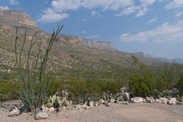 The Sacramento Mountains