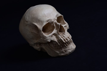 Menschlicher Schädel 3D
