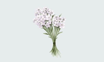 flowers isolated on white background