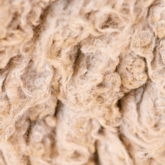 Sad kulunda breeding sheep. Muzzle sharing. Meat and fur farm production. Animal wool. Closeup texture pattern