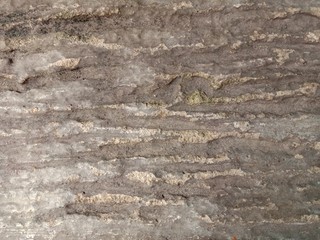 Cement concrete flooring backgrounds and textures closeup for wallpaper interior design wallpaper.