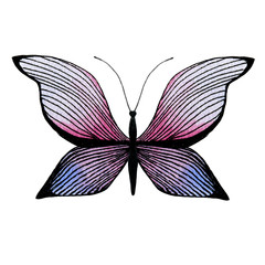 Hand-drawn butterfly with striped wings, isolated on a white background. Stylized sketch of insect
