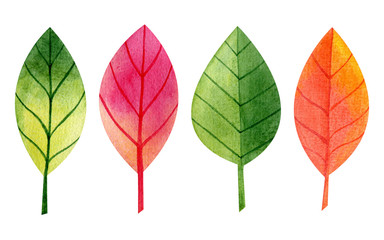 Set of colorful green and red watercolor leaves, isolated on a white background. Stylized hand-drawn illustration. Bright elements for scrapbooking