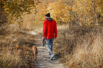 Young owner walking the dog in the forest stock photo