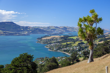 Fototapeta na wymiar Otago Peninsula