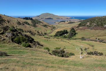 Fototapeta na wymiar Otago Peninsula