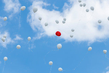 image of wedding balloon in the blue sky and white clouds in summer season. 
