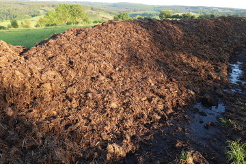 Fumier 2019 06 16 AGRI FUM 8714