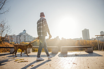 Perfect sunny day for long walk with pet stock photo