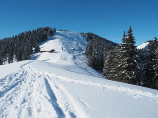 Hörnle im WInter - Bayerische Voralpen