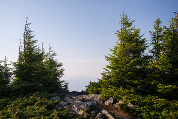 Carpathian mountains landscape