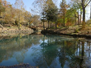 Wide shot of colorful trees in autumn reflected in the clear waters of a blue spring
