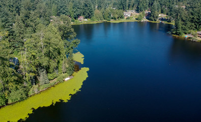 Fototapeta premium Tranquil Lake Bonney on a warm sunny day in Bonney Lake Washington State