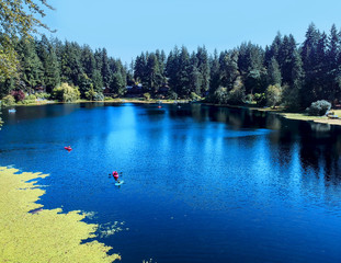 Tranquil Lake Bonney on a warm sunny day in Bonney Lake Washington State