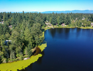 Obraz premium Tranquil Lake Bonney on a warm sunny day in Bonney Lake Washington State