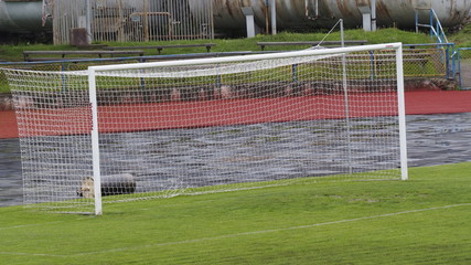 soccer field in stadium