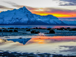 Melting Snow. Global Warming Concept