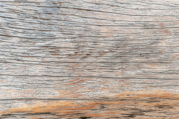 Fototapeta premium abstract background of wooden plank with a distinct structure close up