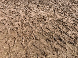 Medium close up of muddy ground textures and patterns