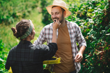 Beautiful couple harvesting fruit at farm.	