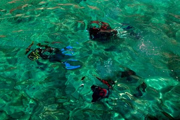 diving in the sea