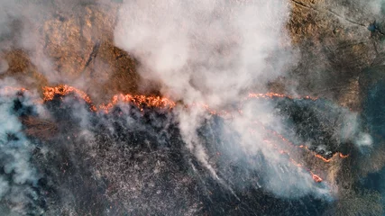 Fototapeten Feuer & Flamme Starkes Feuer in einem leeren Feld. Starker Rauch aus der Brennstelle.  © nordroden