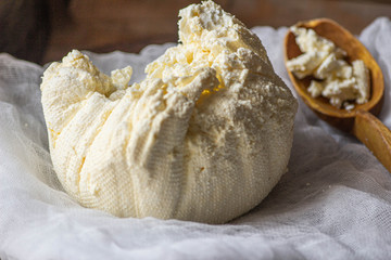 Organic Farming Cottage cheese  with homemade buns