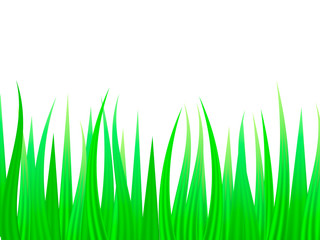 Obraz premium Green grass background. Vector illustration for poster.