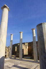 Iconic and amazing archaeological site in uninhabited island of Delos, Cyclades, Greece