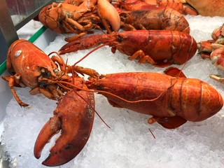 Fresh lobsters sold at a seafood market