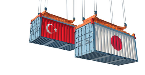 Two freight container with Turkey and Japan flag - isolated on white. 3D Rendering