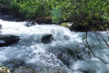 Fototapeta premium fast creek in the mountains
