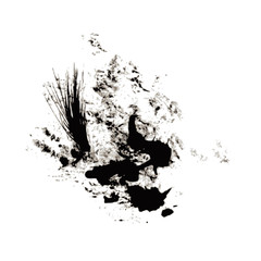Black ink splatters isolated on white background