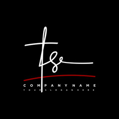 TS signature initials. Handwritten logo vector template with red underline. Hand drawn Calligraphy lettering Vector illustration.