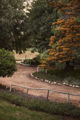 Obraz premium Beautiful road between atumn trees