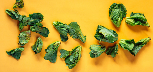 dried cabbage that withers in yellow background