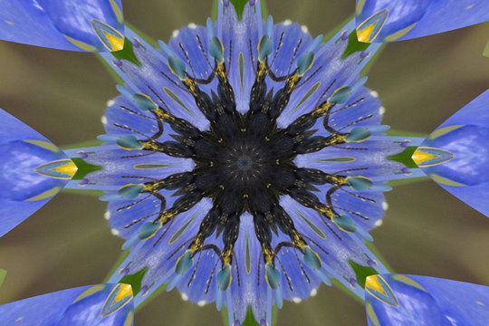 Kaleidoscope Photo Effect: https://www.tuxpi.com/photo-effects/kaleidoscope