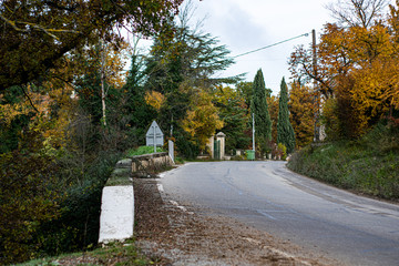 Carretera con arboles a los lados