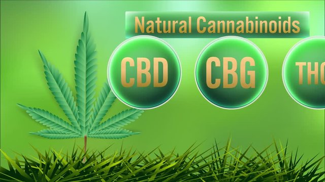 CBD,THC,CBC,CBN,CBG,THCV Natural Cannabinoids in Cannabis.video animation on  green background