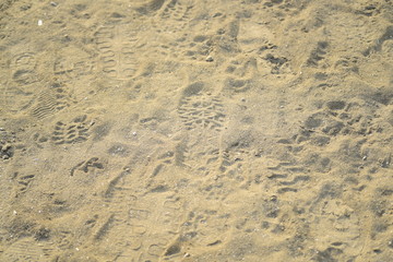 footprints in the sand