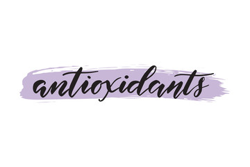 Antioxidants. Handwritten text isolated on a white background.