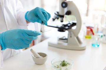 Fototapeta premium Lab Technician Research pharmaceutical or food industry, chemical