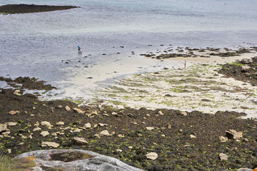 Beach at low tide in Brittany with sand,  stones and seaweed, people walking in the water, summer holiday feeling
