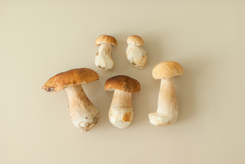 treated edible mushrooms on the light background
