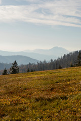 Fototapeta na wymiar sunny day in the mountains landscape. Autumn scenery