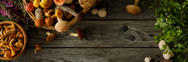 Mushrooms on old wooden background. Card on autumn or summertime. Forest harvest. Boletus, chanterelles, leaves, berries. Top view. Flat lay. Banner.